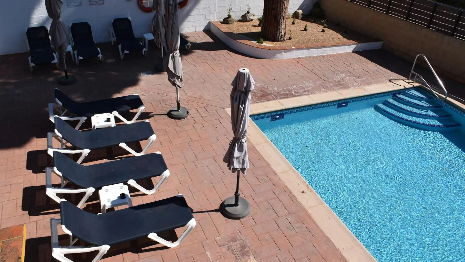 Apartamentos Les Palmeres Platja d'Aro